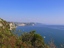 Immagine di anteprima la cui la cui descrizione è nella casella a fianco