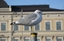 Gavina (Larus canus)